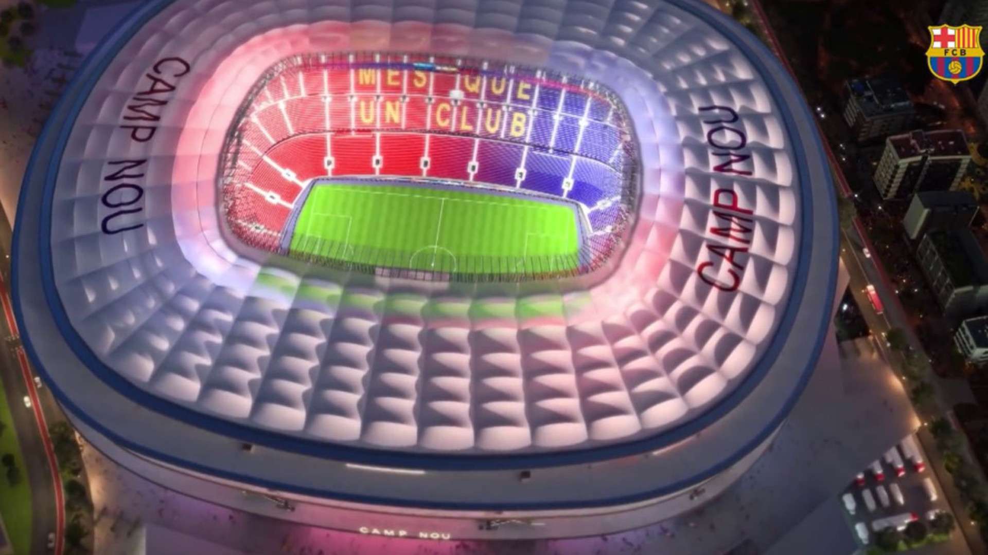 队活动中 队活动中